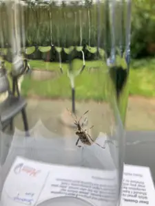 Ina 04 Wat zit er in mijn glas